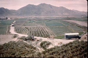Air Force men were bused out to a search area each morning and marched "fingertip-to-fingertip" looking for the missing bomb. The line of men is visible in the center of the photo. 